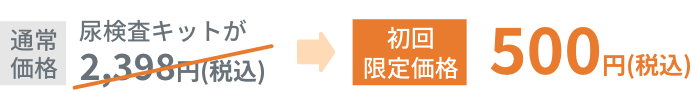 初回限定価格500円