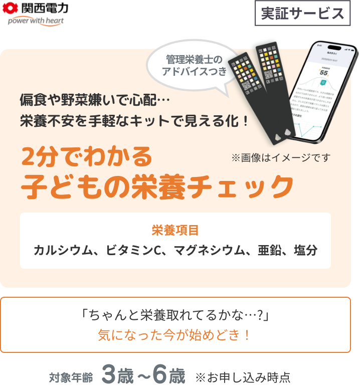 かんでん子供の栄養サポートサービス