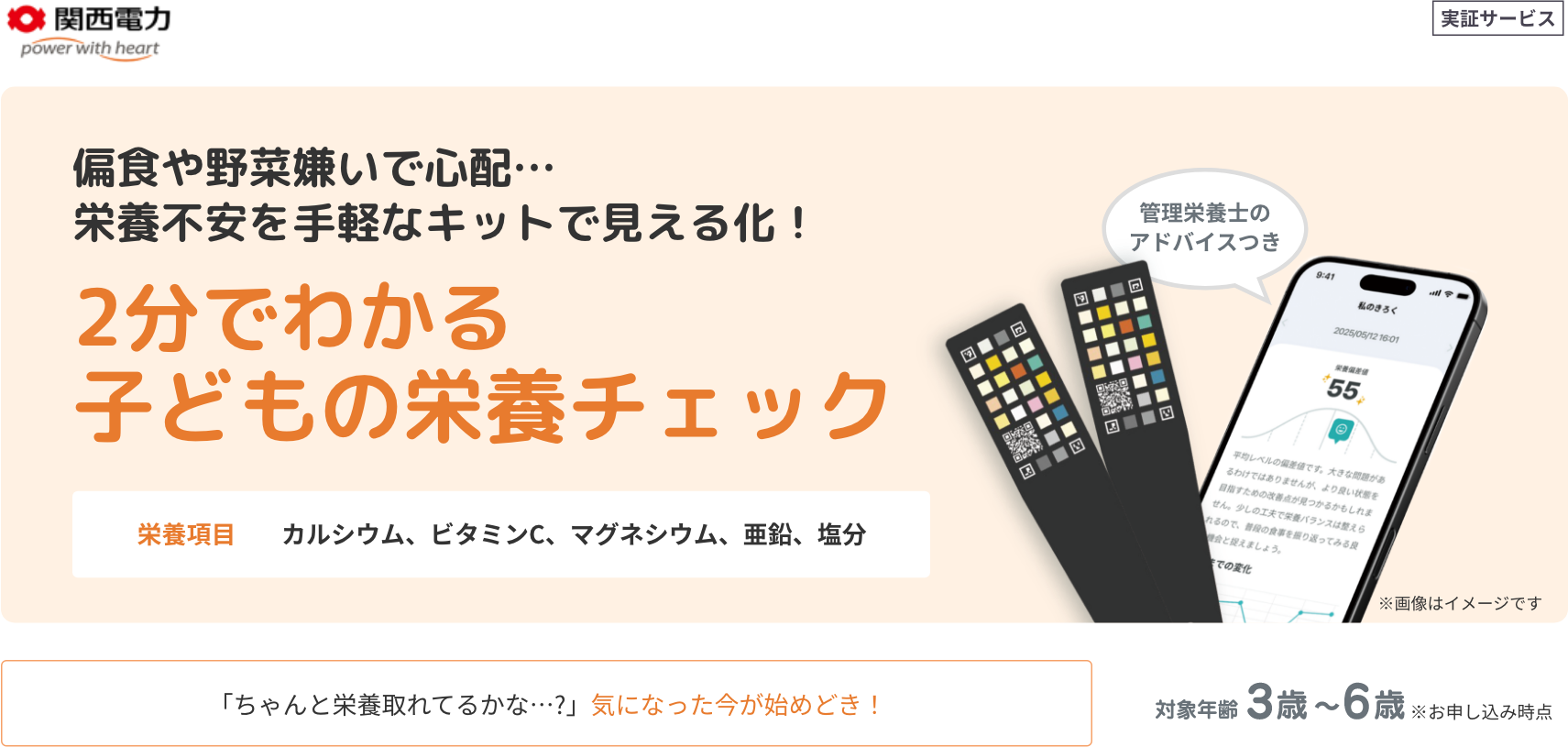 かんでん子供の栄養サポートサービス